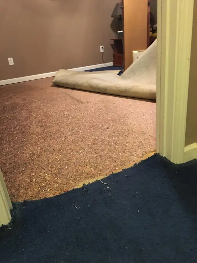 Carpet pad removal revealing water damage during Water Mitigation Services in Ensley