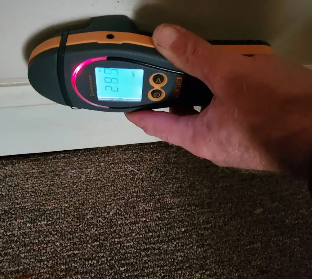 Moisture detection at baseboard during Sewage Cleanup & Sanitation in Ensley